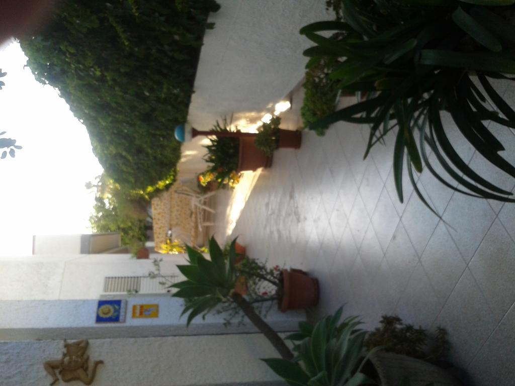 B&B Il Girasole Noto Exteriér fotografie