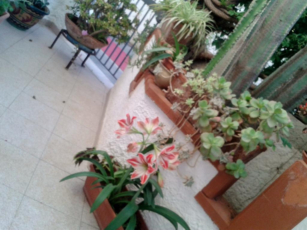 B&B Il Girasole Noto Exteriér fotografie